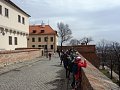 Bongo a Kasematy v Brně