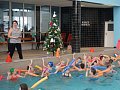 Plavání 18.12.2019