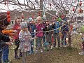 IMG-20220329-104125.jpg