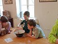IMG-20220506-102516.jpg