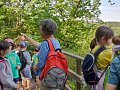 IMG-20220516-100415.jpg