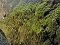 IMG-20220601-103022.jpg