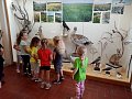 Děti z MŠ v  Jihomoravském muzeu ve Znojmě
