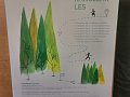 IMG-20221102-081243.jpg