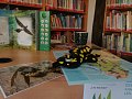 IMG-20221102-081253.jpg