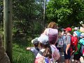 Školní výlet ZOO Lešná, Zlín - 26.6.2023