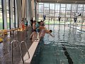 Plavání - 2.4.2025