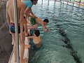 Plavání - 2.4.2025