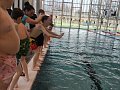 Plavání - 2.4.2025