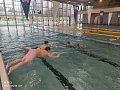 Plavání - 2.4.2025