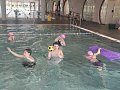 Plavání - 2.4.2025