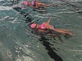 Plavání - 2.4.2025