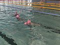 Plavání - 2.4.2025