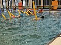 Plavání - 3.,4. ročník - 11.2.2026